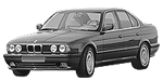 BMW E34 C3095 Fault Code